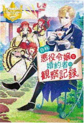 妖精动漫 妖精的旋律
